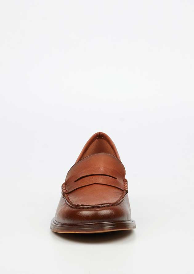 Sasko 1 Tan - Image 3