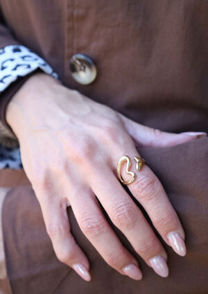 Whale Hollow Gold Ring- LRG130